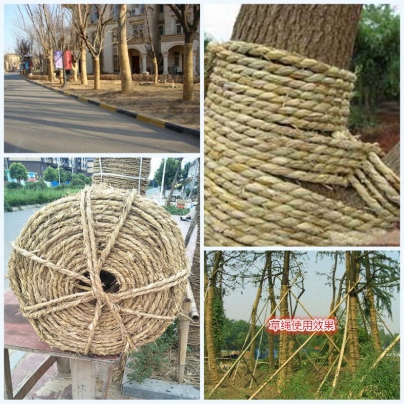 草绳稻草绳园林花木移栽包扎捆绑树木草绳子仿寒保暖加厚裹树布批 - 图0