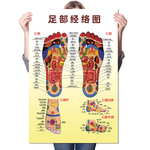 足部反射区挂图足脚底按摩保健足疗足浴拔罐艾灸经络穴位图解海报 - 图3