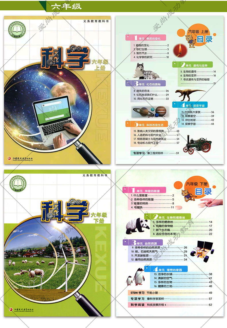 新版苏教版一二三四五六年级上下册科学电子版教案课件试卷知识点-图2