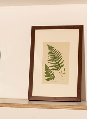 molly飞机头装饰画中古原版装饰画芯壁画植物客厅玄关书房挂画