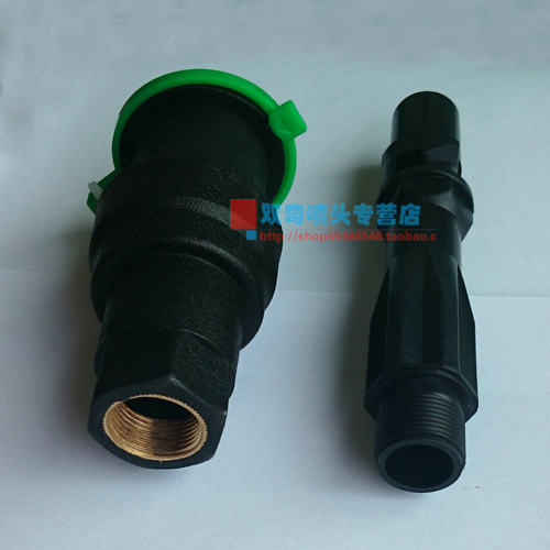 P33 6分DN20铜丝口快速取水阀小区取水口取水栓 取水器插杆洒水器 - 图0