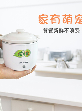 天际电炖锅煲汤锅BB煲煮粥