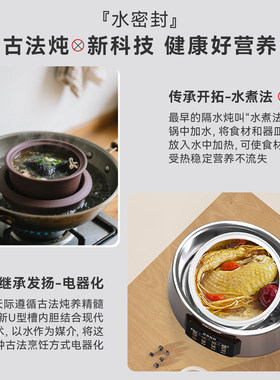 天际电炖锅多胆隔水炖钢炖煲汤锅