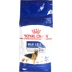 Thức ăn cho chó trưởng thành của Royal GR26 dành cho chó lớn Jin Mao Demu Husky thức ăn cho chó cưng loại 15kg / 4kg - Chó Staples