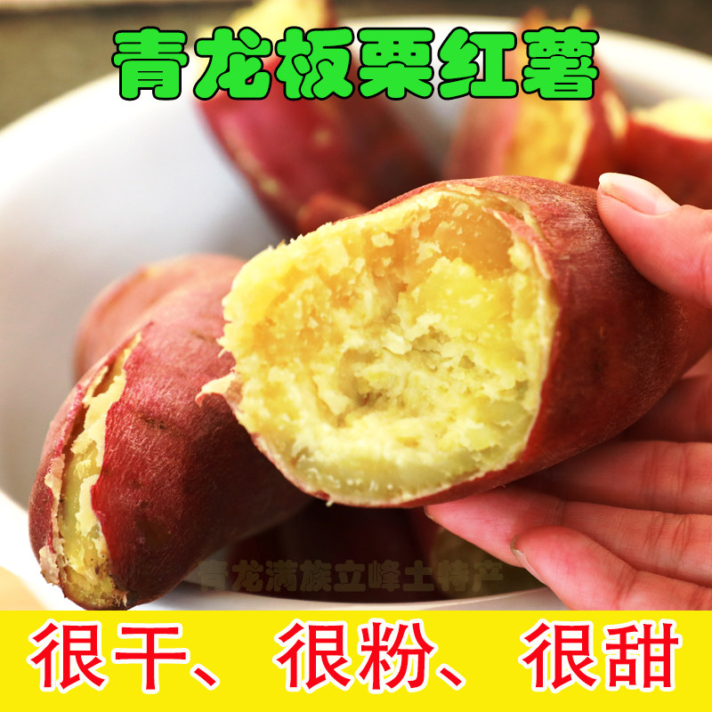 青龙板栗红薯  沙地老品种 新鲜小香番薯山芋黄白蜜薯 非烟薯蜜薯