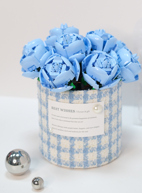 抱抱桶告白礼物摆件家里