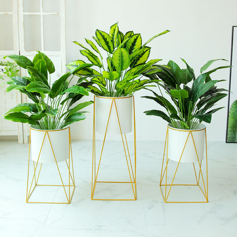 金色超大花盆 新人首单立减十元 22年2月 淘宝海外 金色超大花盆 新人首单立减十元 22年2月 淘宝海外