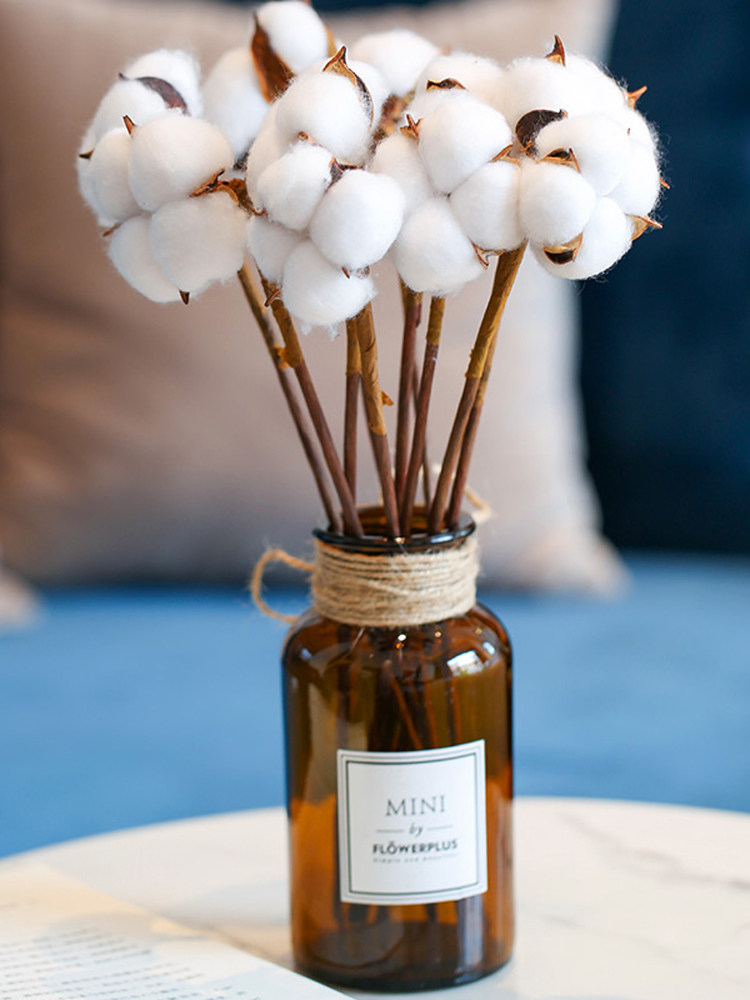 圣诞节单支棉花干花真花花束自然花束永生花diy家居插花摆设材料,淘宝优惠券,粉丝福利购,淘宝优惠卷