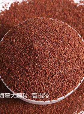 玫瑰传说冰玫瑰海藻面膜颗粒大补水控油亮肤抗皱500g美容院装包邮