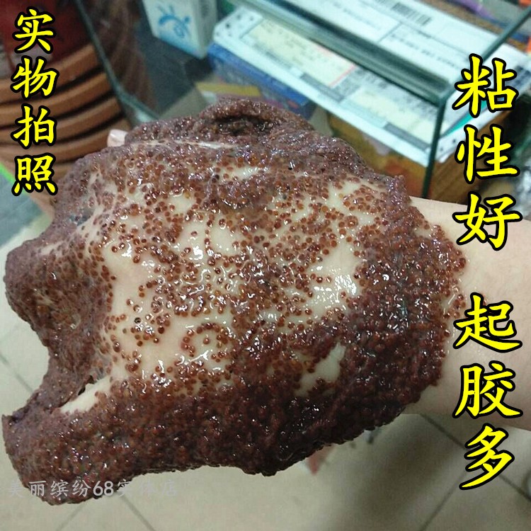 玫瑰传说冰玫瑰海藻面膜颗粒 补水控油亮肤抗皱500g美容院装包邮