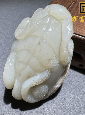 方言和田玉新疆罕见戈壁料五彩玉黑油皮白皮洒金皮白玉龙龟把件S