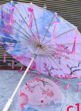 古风演出回娘家流苏花瓣伞舞伞伞