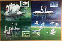 T83 Swan Stamps Ultimate Sheet of Swan stamps