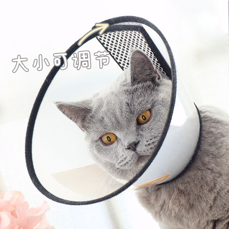 仁可宠物伊丽莎白圈猫犬通用防舔防咬防抓宠物耻辱圈绝育术后防护,淘宝优惠券,粉丝福利购,淘宝优惠卷