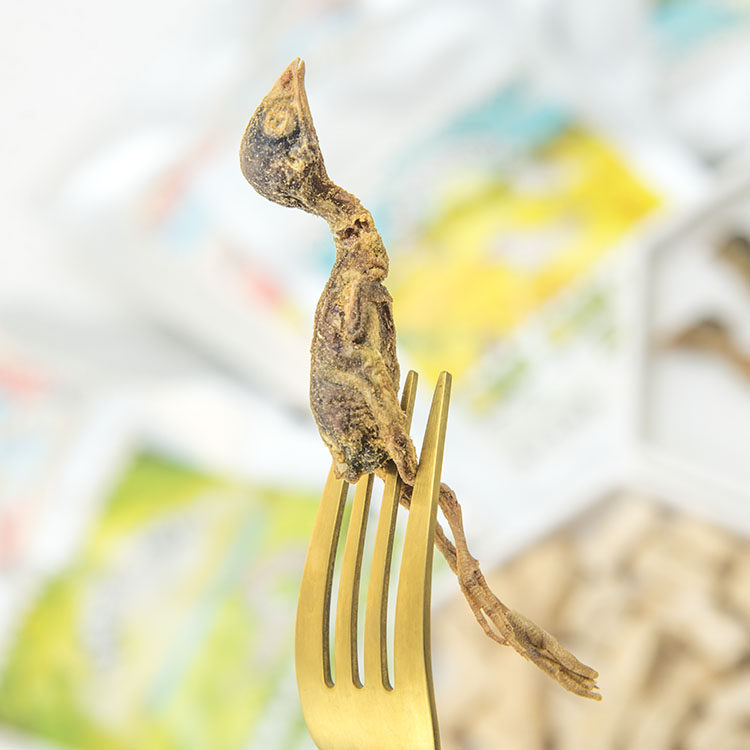 仁可宠物 爱立方冻干生骨肉猫咪零食鸡内鸭肉鹌鹑海鲜鱼虾试吃装,淘宝优惠券,粉丝福利购,淘宝优惠卷