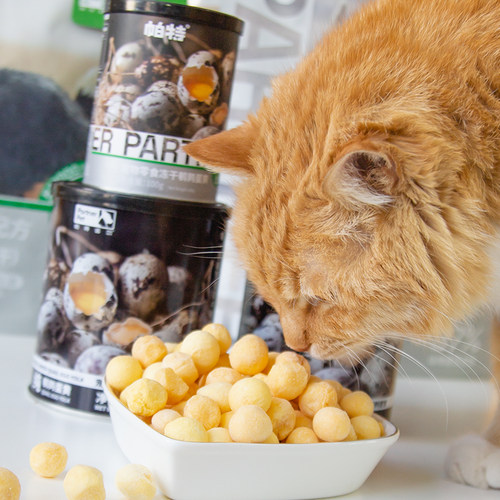 仁可宠物 帕特鹌鹑蛋黄冻干成猫幼猫奖励零食营养美毛卵磷脂100g - 图0