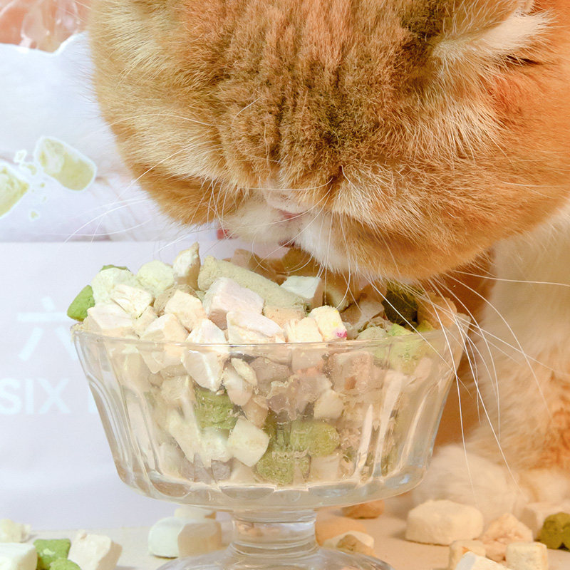 仁可宠物 路斯六种能量猫冻干零食成幼猫6拼羊奶鸡肉猫草混合500g,淘宝优惠券,粉丝福利购,淘宝优惠卷