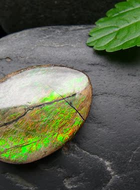 加拿大天然斑彩石裸石戒面菊石