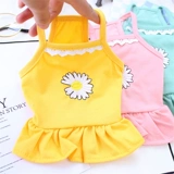 Домашняя кошка в летнем тонкая слинг