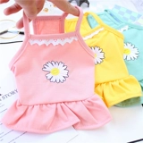 Домашняя кошка в летнем тонкая слинг