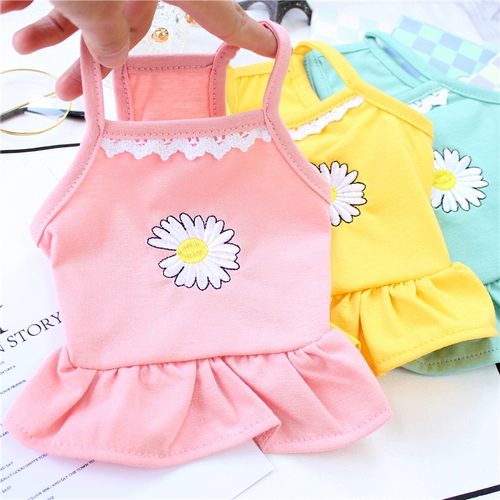 Домашняя кошка в летнем тонкая слинг