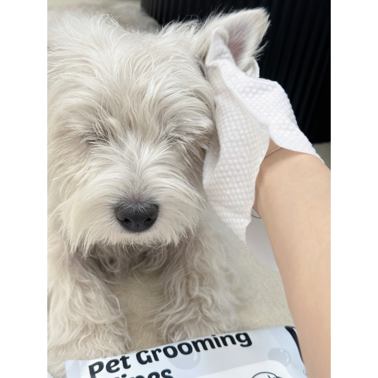 OwOCare宠物免洗手套狗狗猫咪干洗免洗擦身体成幼犬除臭清洁湿巾,淘宝优惠券,粉丝福利购,淘宝优惠卷