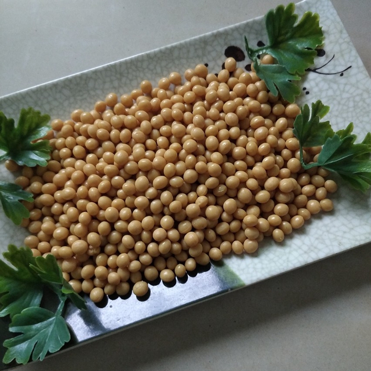 仿真黄豆模型大豆模型制作原料点缀用黄豆仿真模型60元每斤包邮 - 图0