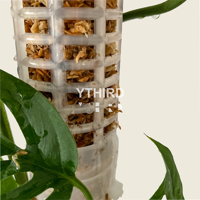 YTHIRD｜水苔柱｜可拼接增高攀爬柱龟背竹柱蔓绿绒柱植物快乐柱-图2