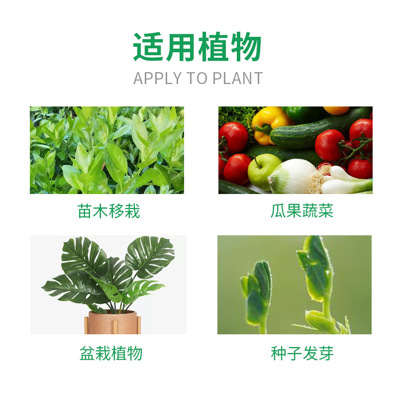 生根粉扦插发根植物通用移栽树木育苗果树盆栽多肉强力快速生根液 - 图1