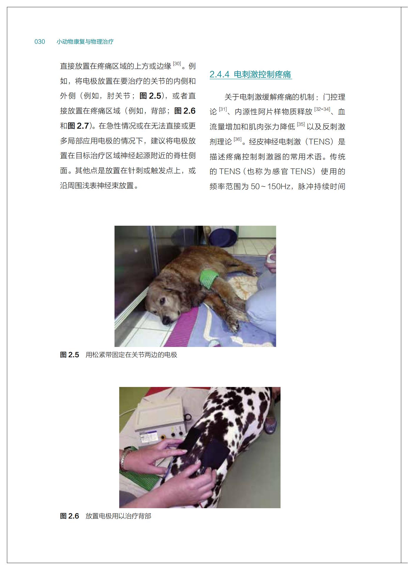 小动物康复与物理治疗戴榕全白璐译北美小动物临床医学系列犬猫疾病康复护理教程宠物医生兽医书-图1