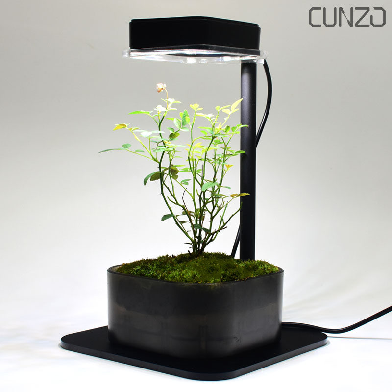 迷你植物生长灯/盆景微景观补光LED灯/绿植多肉发色通风降温5V,淘宝优惠券,粉丝福利购,淘宝优惠卷