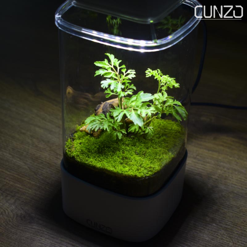 CUNZO寸泽/简约桌面多肉玻璃花盆/微景观方形造景花瓶/带孔带底座,淘宝优惠券,粉丝福利购,淘宝优惠卷