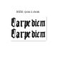 Flower-armed girl TATTOO S131 dark style gothic letter carpe diem carpe diem tattoo sticker