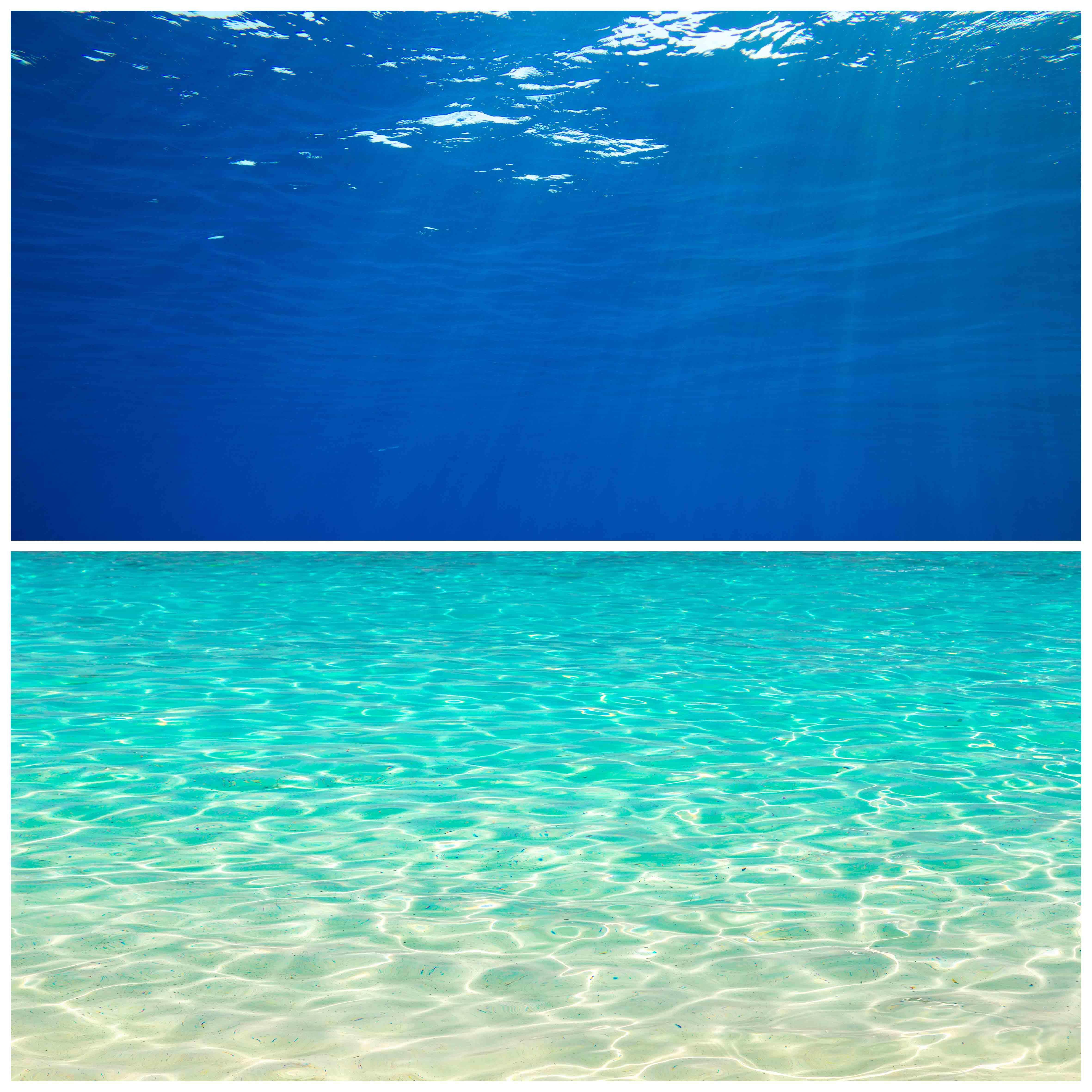 鱼缸背景贴画海底世界定制水族箱自粘缸外壁画海洋海水造景装饰贴,淘宝优惠券,粉丝福利购,淘宝优惠卷