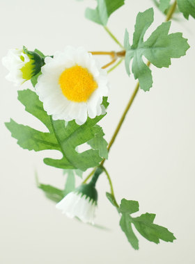 已陌小清新藤条雏菊仿真花壁挂