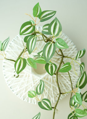 北欧简约仿真绿植藤蔓客厅装饰品