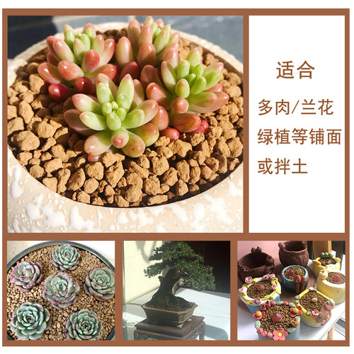 赤玉土大包装日本三本线原装颗粒硬质多肉盆景植物水陆缸造景材料 - 图2