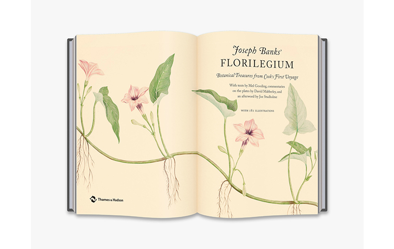 【现货】Joseph Banks' Florilegium 约瑟夫·班克斯的花谱 库克船长航行中发现的植物宝藏 植物图鉴艺术画册 - 图1