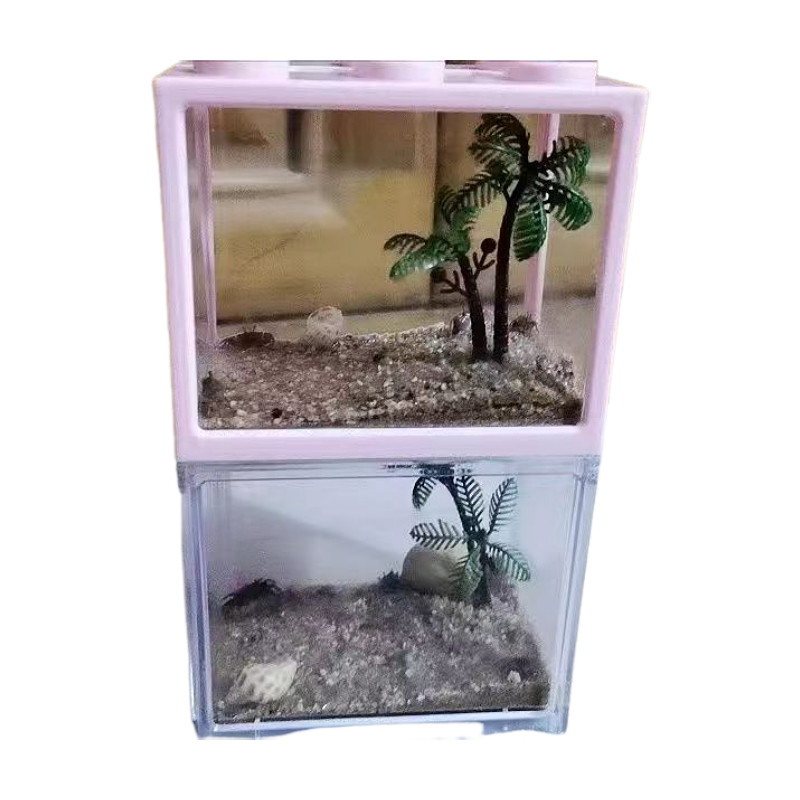【简约套餐】辣椒蟹饲养缸桌面微景缸迷你辣椒蟹积木盒饲养缸宿舍,淘宝优惠券,粉丝福利购,淘宝优惠卷