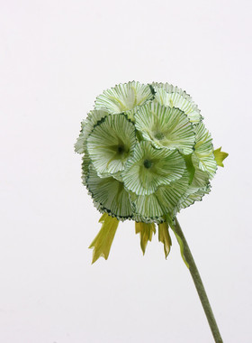 仿真花蓝盆花种子风车果假花