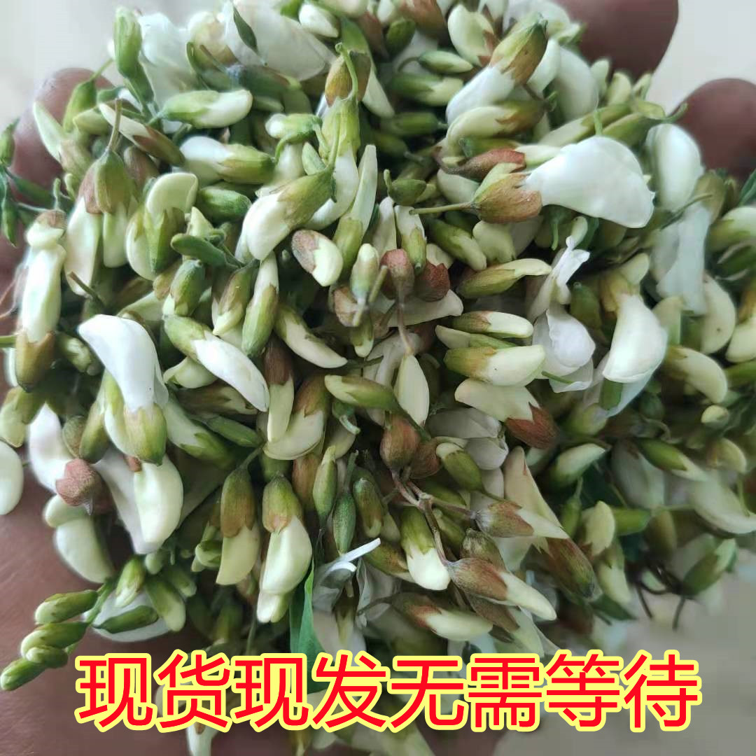 现货槐花新鲜洋槐花现摘现发花骨朵花苞2024年河南农家特产应季菜 - 图0