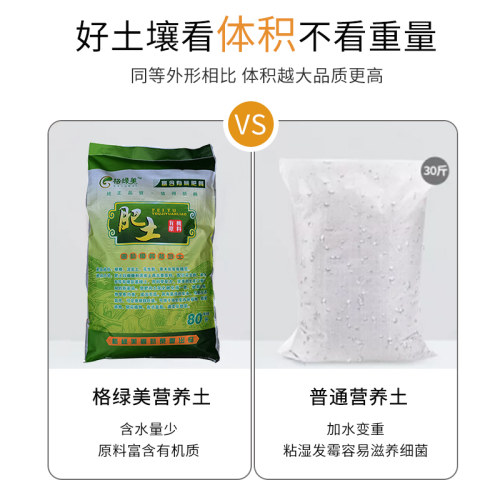 花土通用型家用多肉专用营养土养花种花种菜种植泥土盆栽有机土壤 - 图2