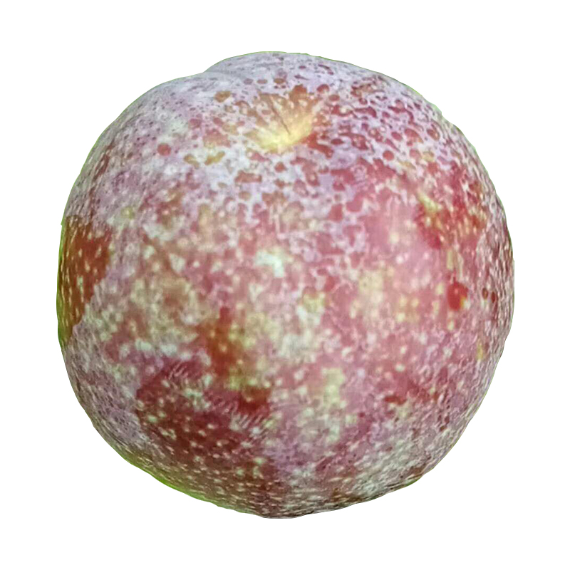 购乐食品信宜钱排红心三华李子当季新鲜孕妇水果早熟三月李酸甜脆整箱5斤3