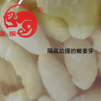 桐乡猕猴腌制爽口泡菜酱菜嫩姜芽1500克姜牙仔姜子下饭菜日期新鲜 - 图1