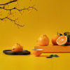 Wanqiantang Cute Orange Portable Travel Tea Set