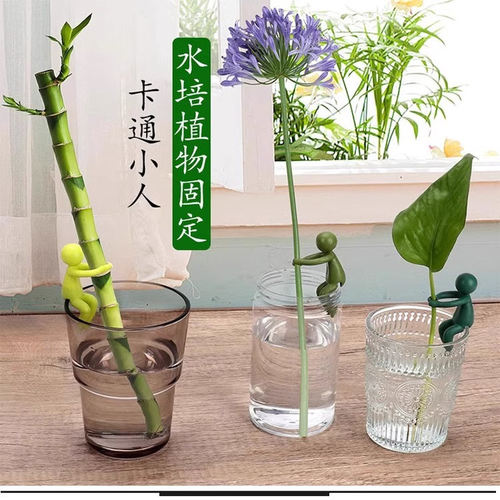 水培植物固定神器生长伴侣扶正器防倒绿植培育支撑架鱼缸卡通装饰 - 图3