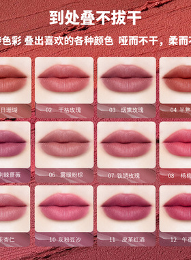 MISSROSE十二色口红盘雾面丝绒哑光唇膏多色调唇膏舞台装演出化妆