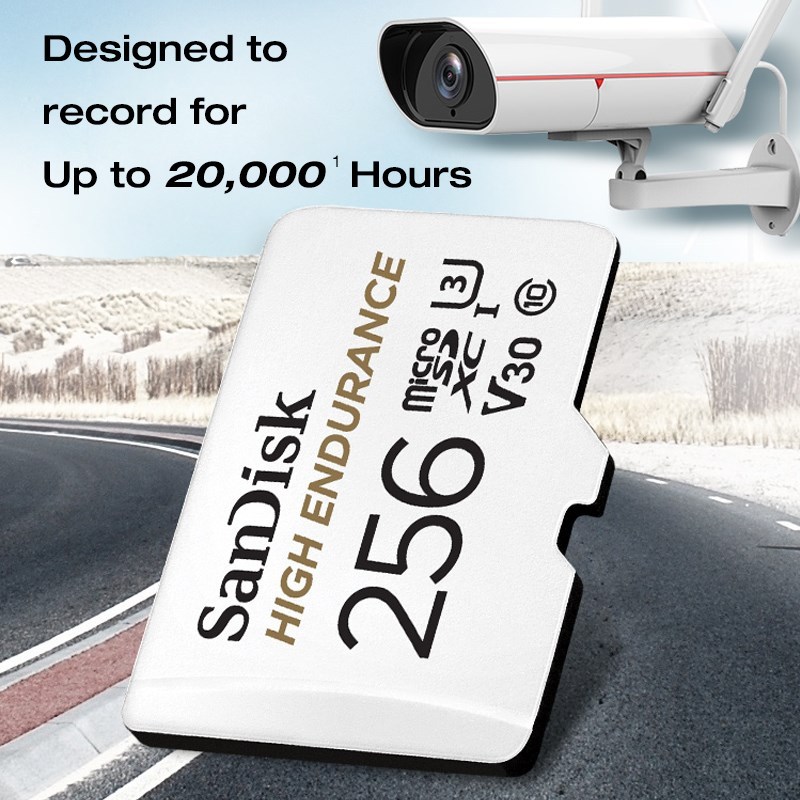 SanDisk Memory Card High Endurance micro SD Card C10 U3 4K - 图0