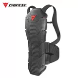 Dainese Dennis Cyclical Backbite Backbite Backplate Backplate Backplate Conting Armour Одежда защитная оборудование защитное оборудование защитное оборудование