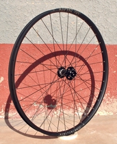 Wheel Brother 27 5 29 Inch 110 * 20boost Barrel Shaft Mountain Single Front Wheel Set Sun sd37 Car Circle Dt Spokes